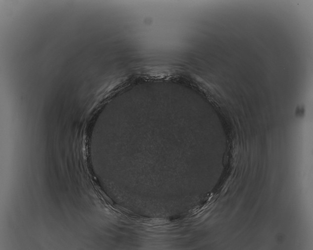 X0000089951394200707061111