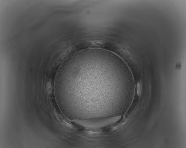 X0000089951395200707061111