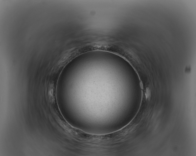 X0000089951396200707061111