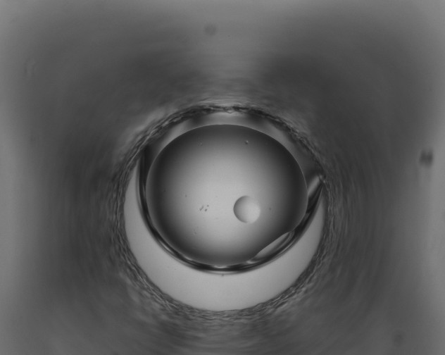 X0000089951398200707061111