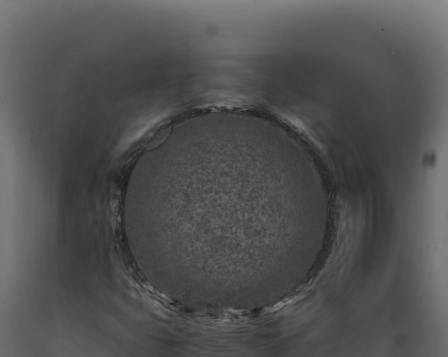 X0000089951399200707061111