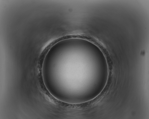 X0000089951400200707061111