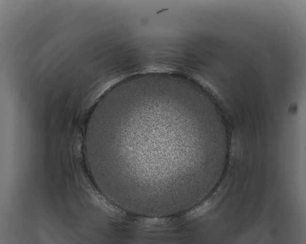 X0000089951401200707061111