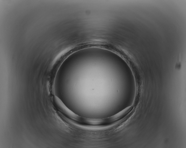 X0000089951402200707061111