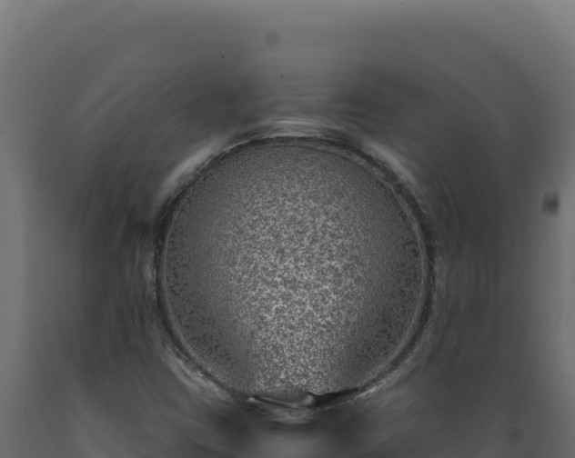 X0000089951403200707061111