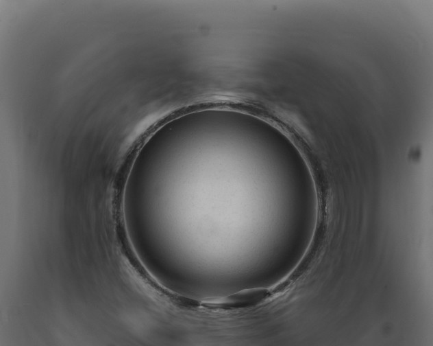 X0000089951404200707061111