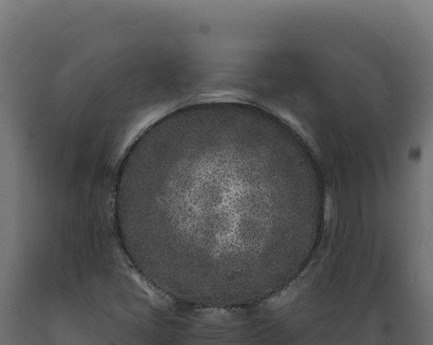 X0000089951405200707061111