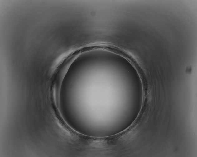 X0000089951406200707061111