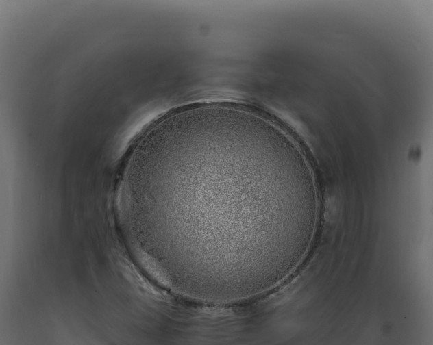 X0000089951407200707061111