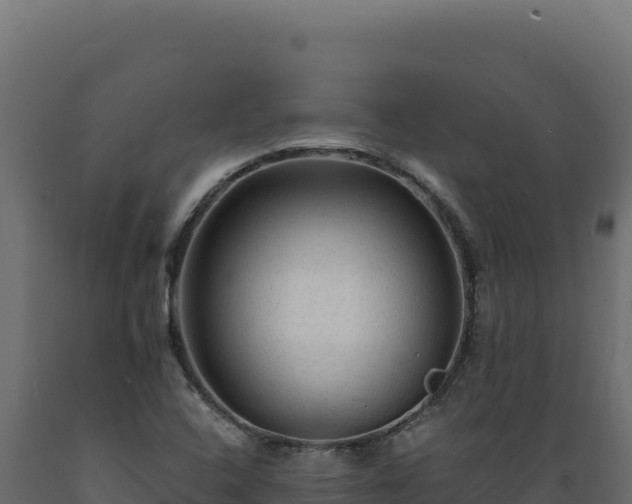 X0000089951408200707061111