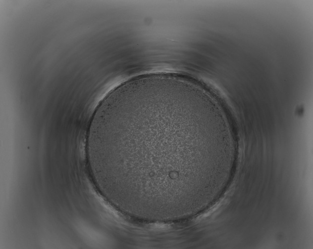 X0000089951409200707061111
