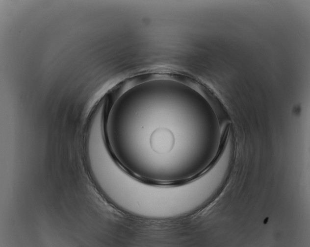 X0000089951410200707061111