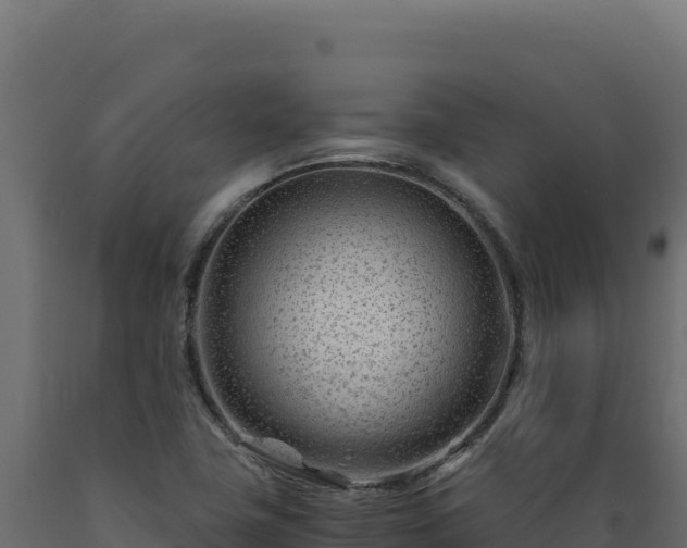 X0000089951411200707061111