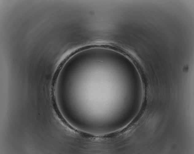 X0000089951412200707061111
