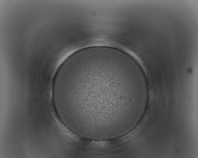 X0000089951415200707061111