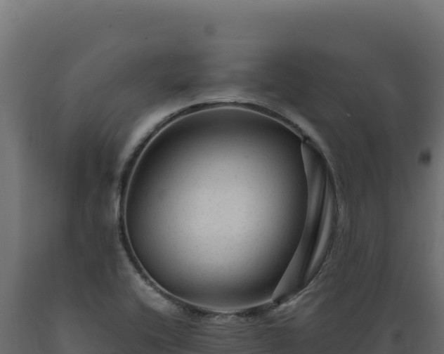 X0000089951416200707061111
