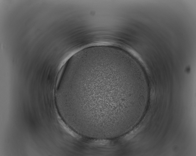 X0000089951417200707061111