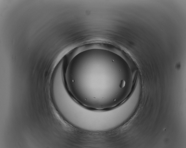 X0000089951418200707061111