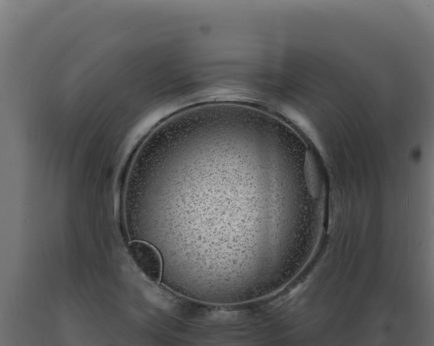 X0000089951419200707061111
