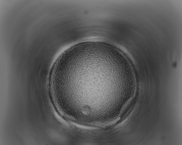 X0000089951421200707061111
