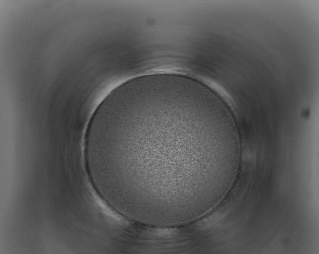 X0000089951423200707061111