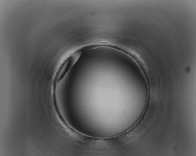 X0000089951424200707061111