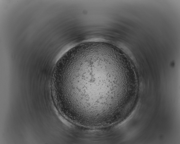 X0000089951425200707061111