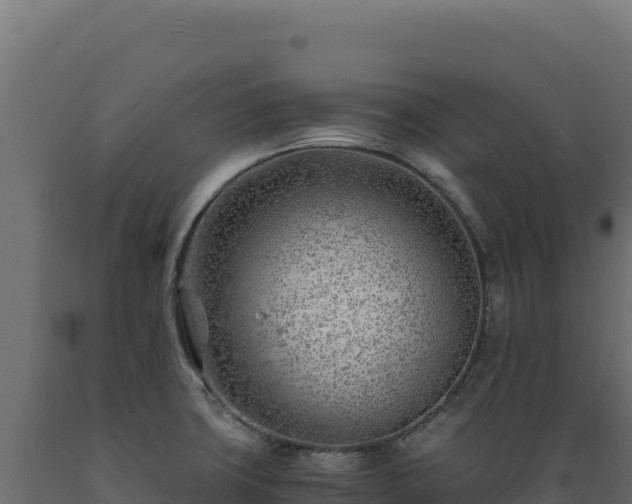 X0000089951427200707061111