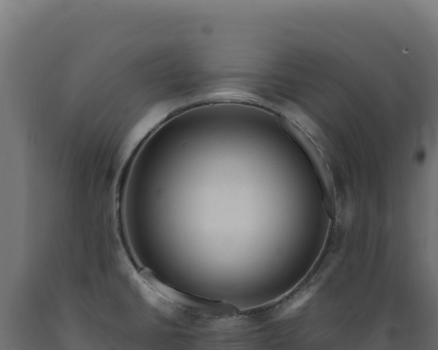 X0000089951430200707061111