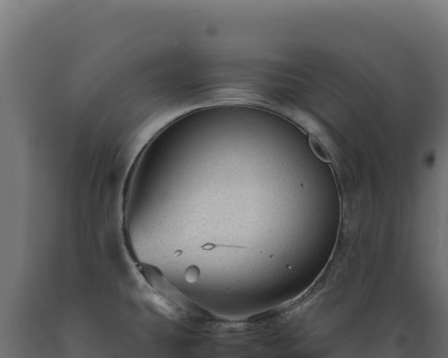 X0000089951431200707061111