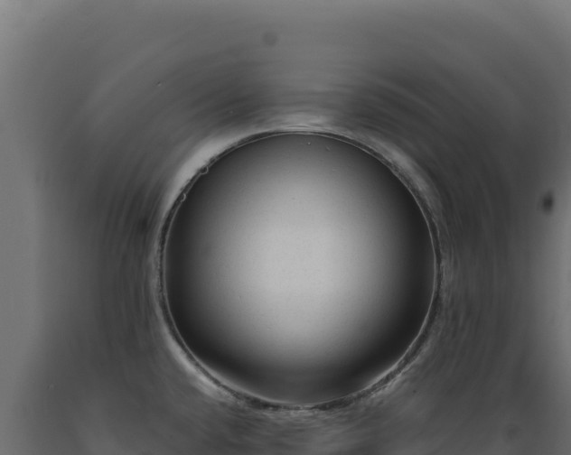 X0000089951432200707061111