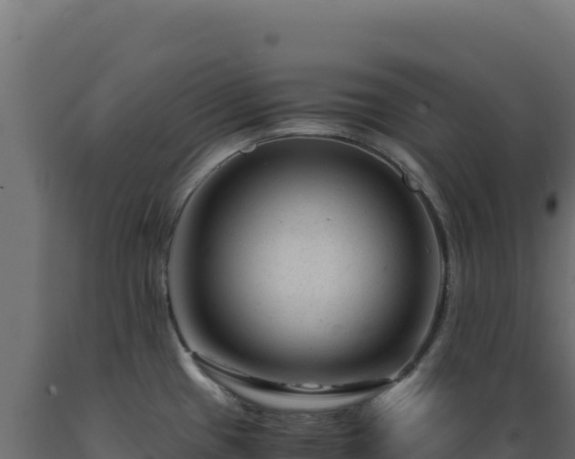 X0000089951433200707061111