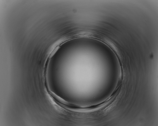 X0000089951434200707061111