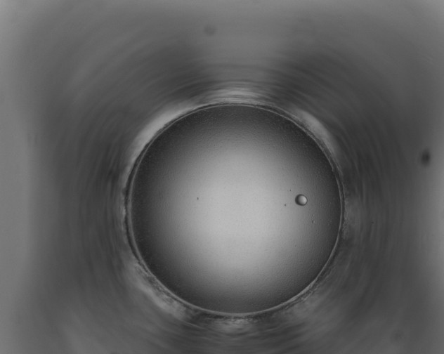 X0000089951435200707061111