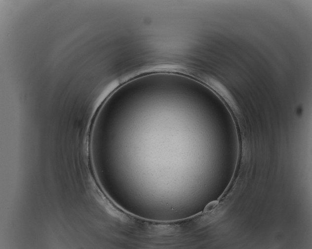 X0000089951436200707061111