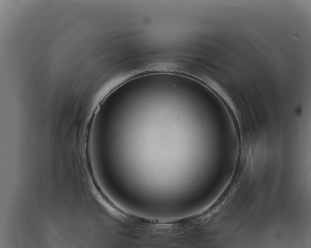 X0000089951437200707061111
