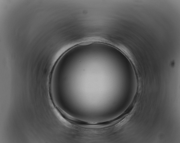 X0000089951438200707061111