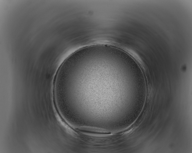 X0000089951439200707061112
