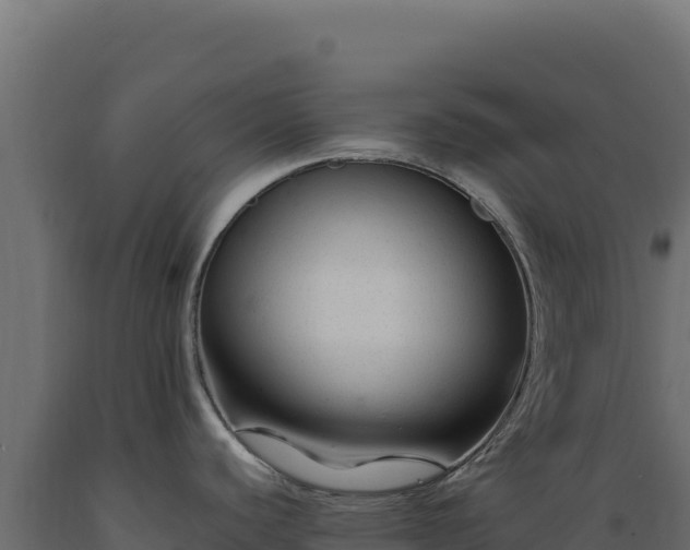 X0000089951440200707061112