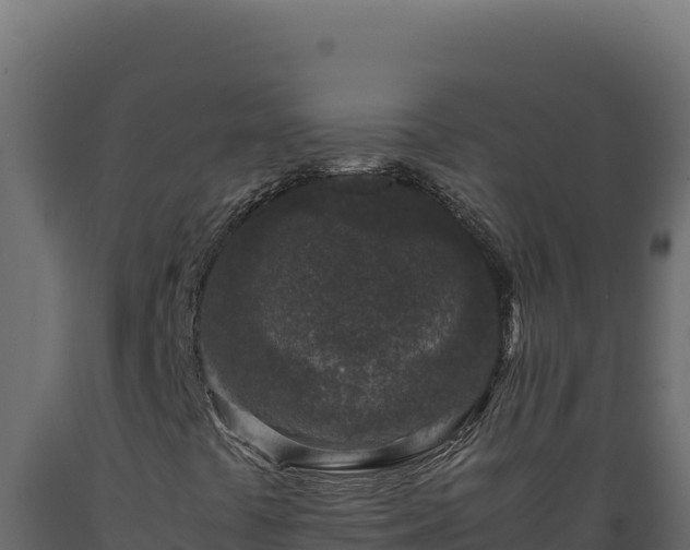X0000089951441200707061111