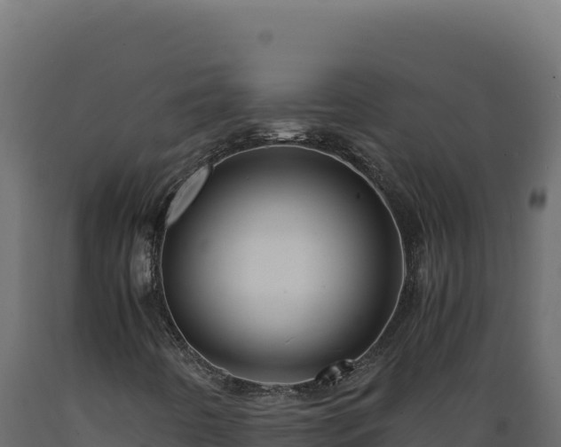 X0000089951442200707061111