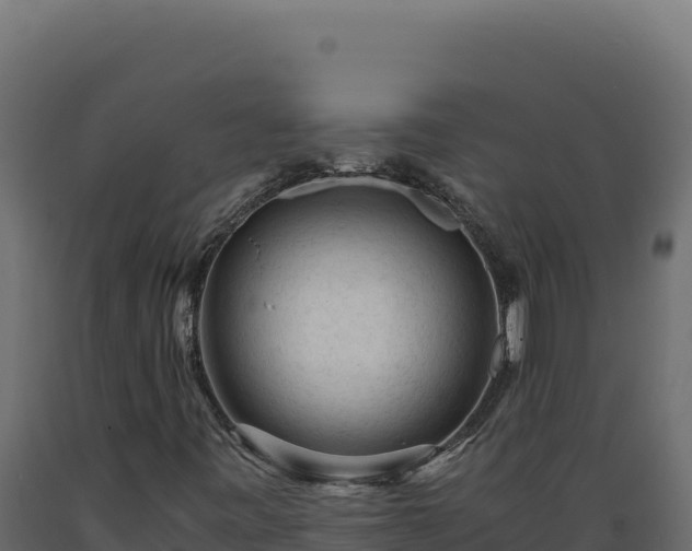 X0000089951443200707061111