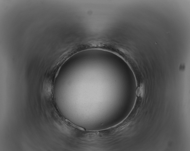X0000089951444200707061111