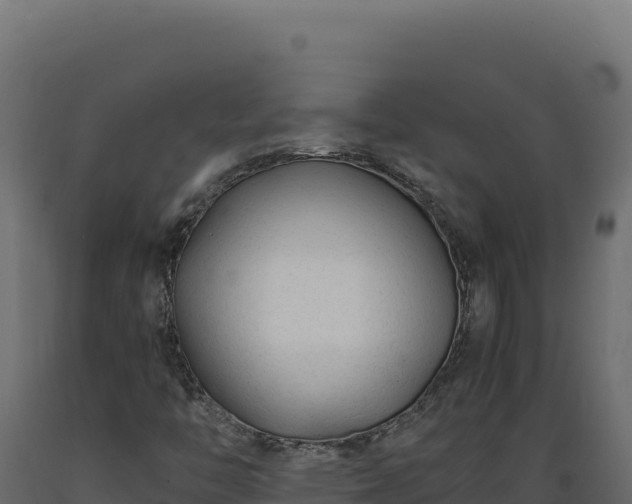 X0000089951446200707061111