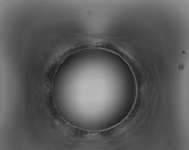 X0000089951447200707061111