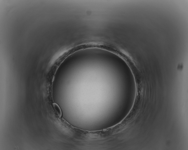 X0000089951448200707061111