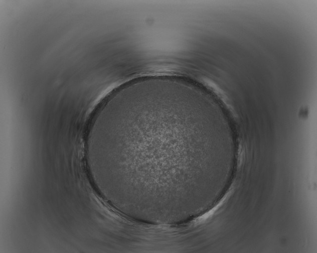 X0000089951449200707061111