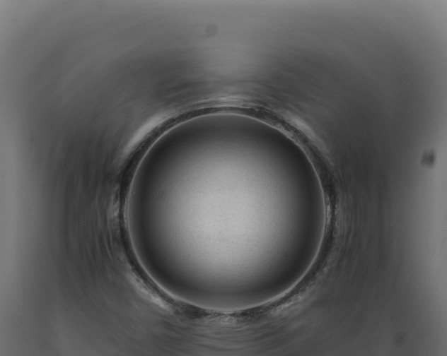 X0000089951450200707061111