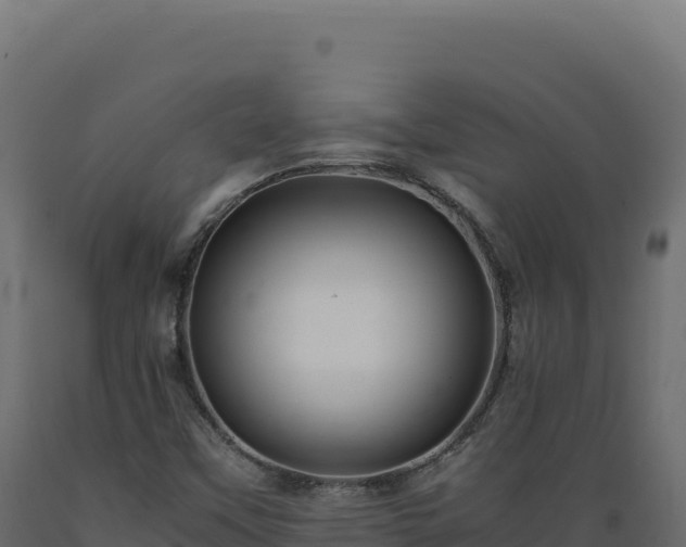 X0000089951451200707061111