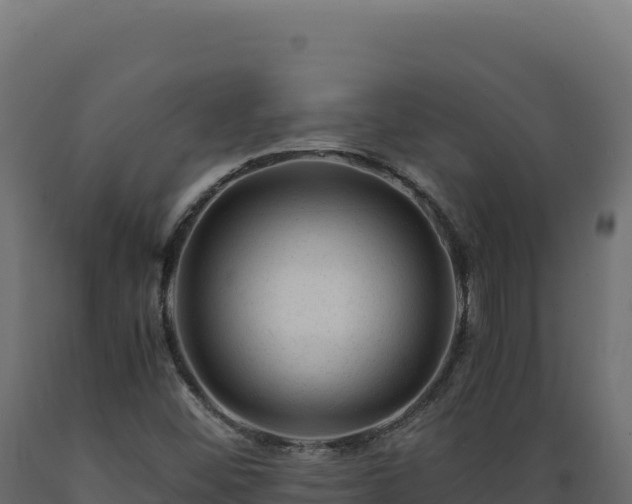 X0000089951452200707061111